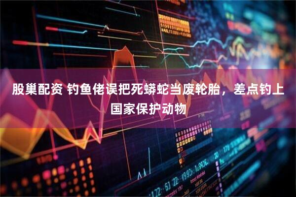 股巢配资 钓鱼佬误把死蟒蛇当废轮胎，差点钓上国家保护动物