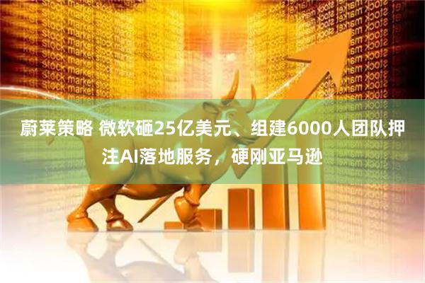蔚莱策略 微软砸25亿美元、组建6000人团队押注AI落地服务，硬刚亚马逊